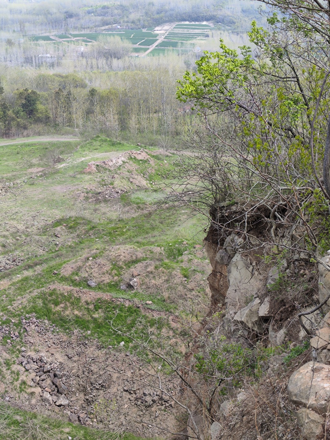 IMG_20240406_132340 (大).jpg