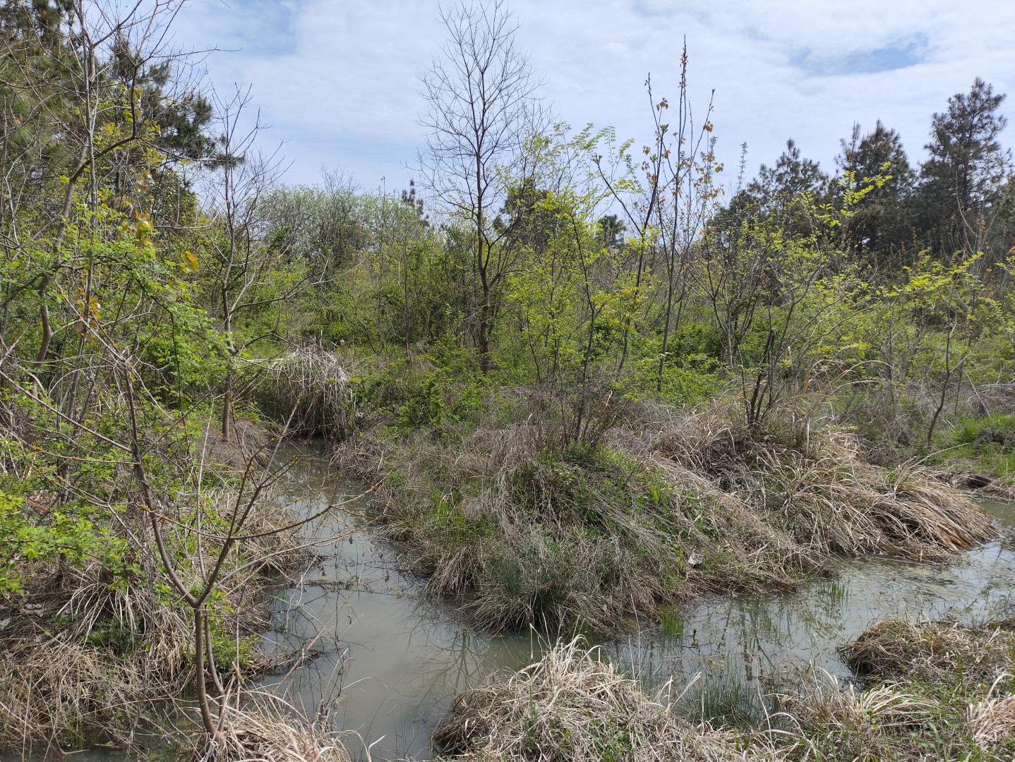 IMG_20240406_130822 (大).jpg