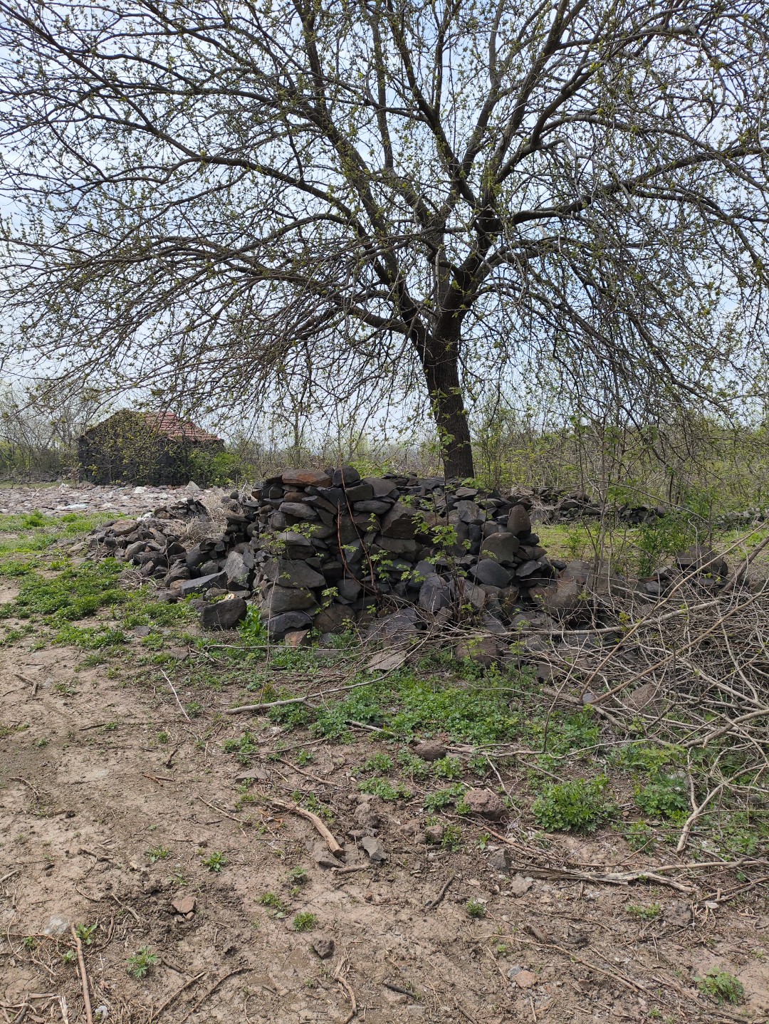 IMG_20240406_133300 (大).jpg