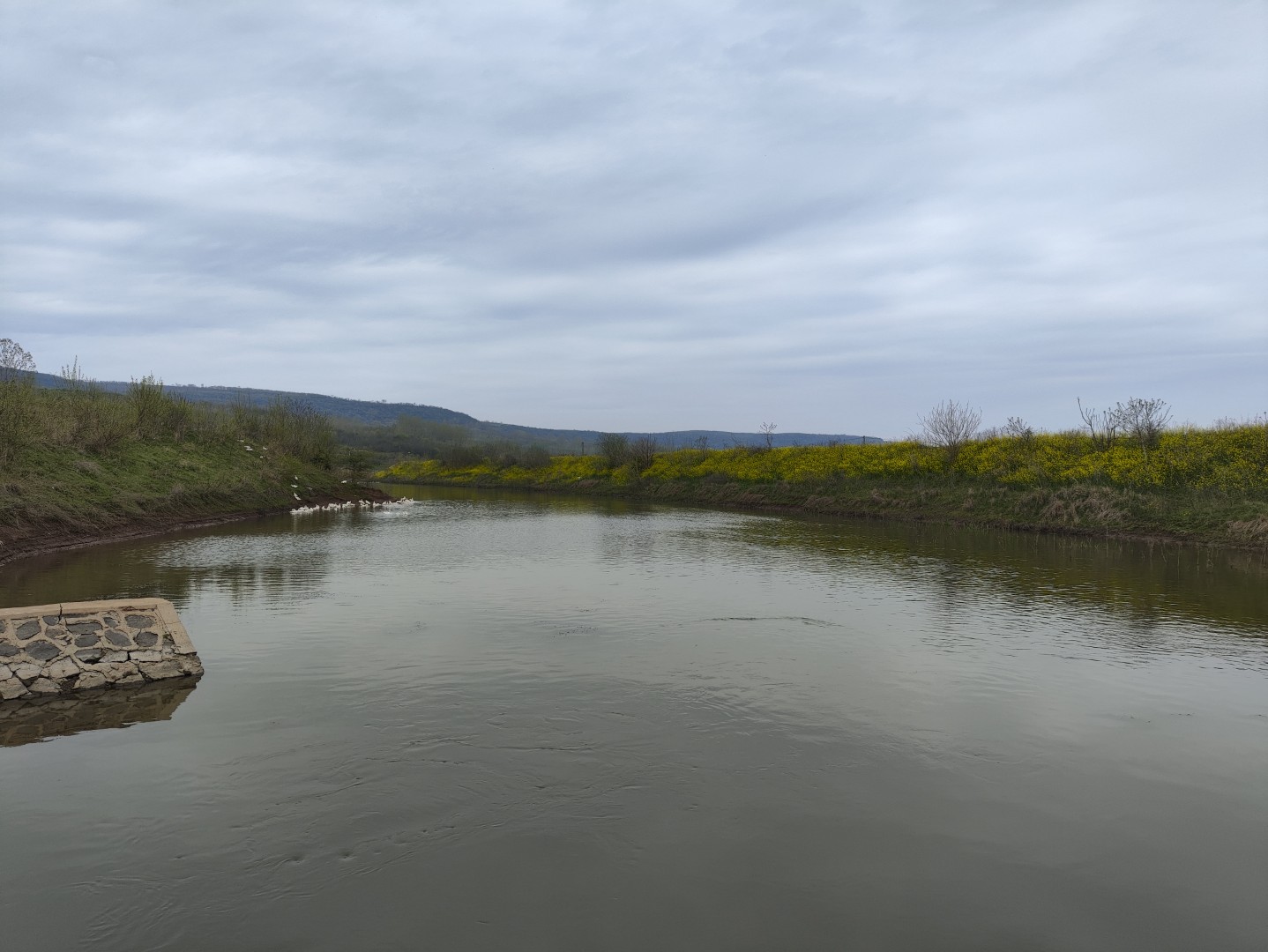 1773532867820125.jpg IMG_20240406_112609 (大).jpg