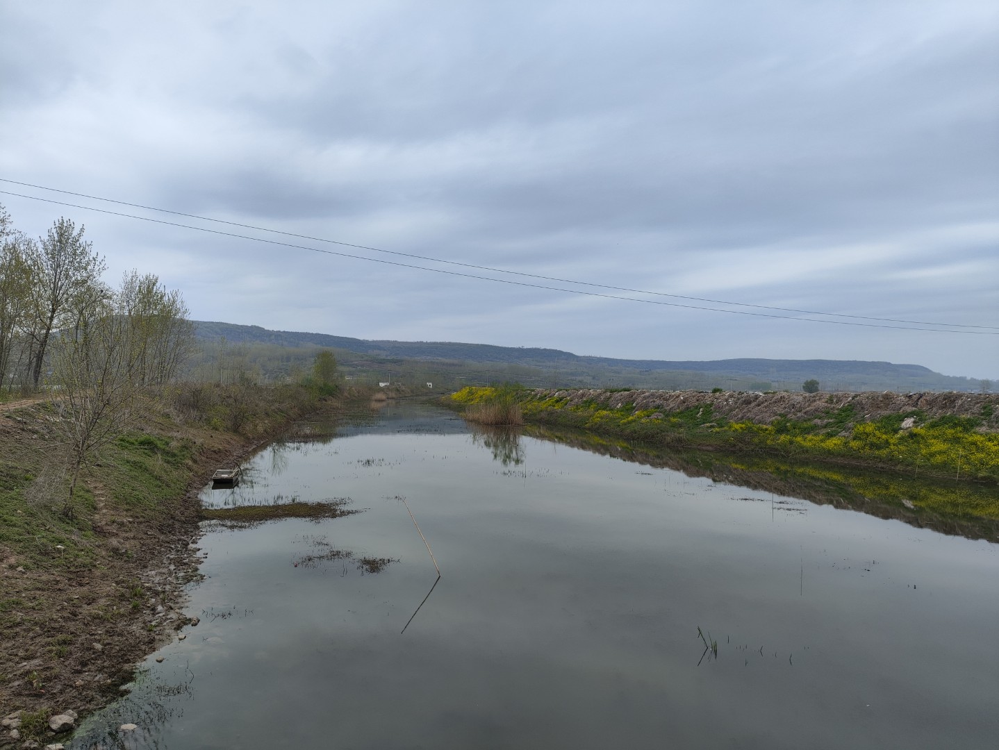 1773532867946301.jpg IMG_20240406_105851 (大).jpg