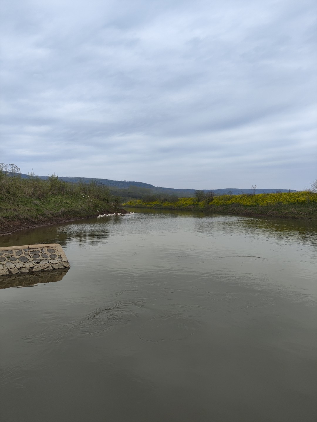 1773532867412255.jpg IMG_20240406_112604 (大).jpg