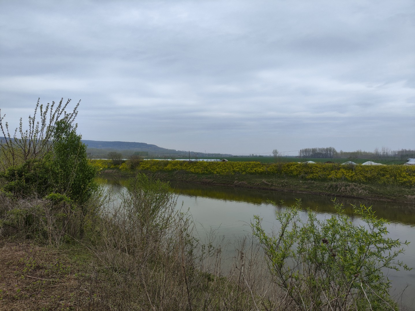 1773532867558535.jpg IMG_20240406_111956 (大).jpg