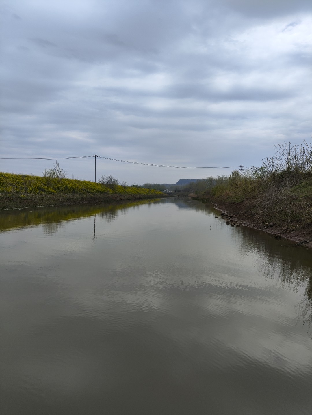 1773532867865754.jpg IMG_20240406_112552 (大).jpg