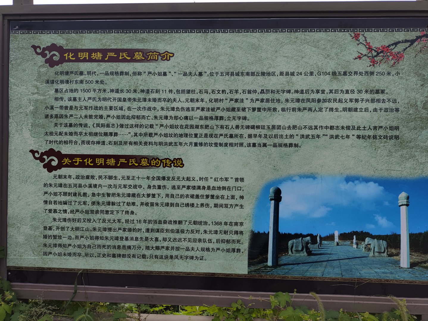 IMG_20250920_104001 (大).jpg