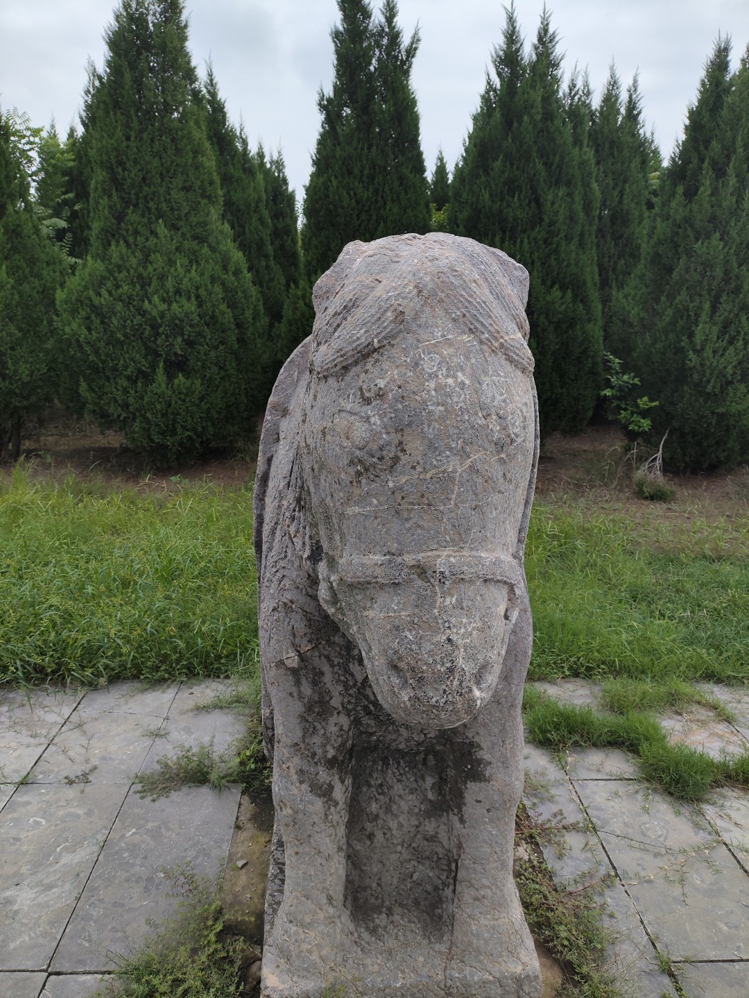 IMG_20250920_102858 (大).jpg