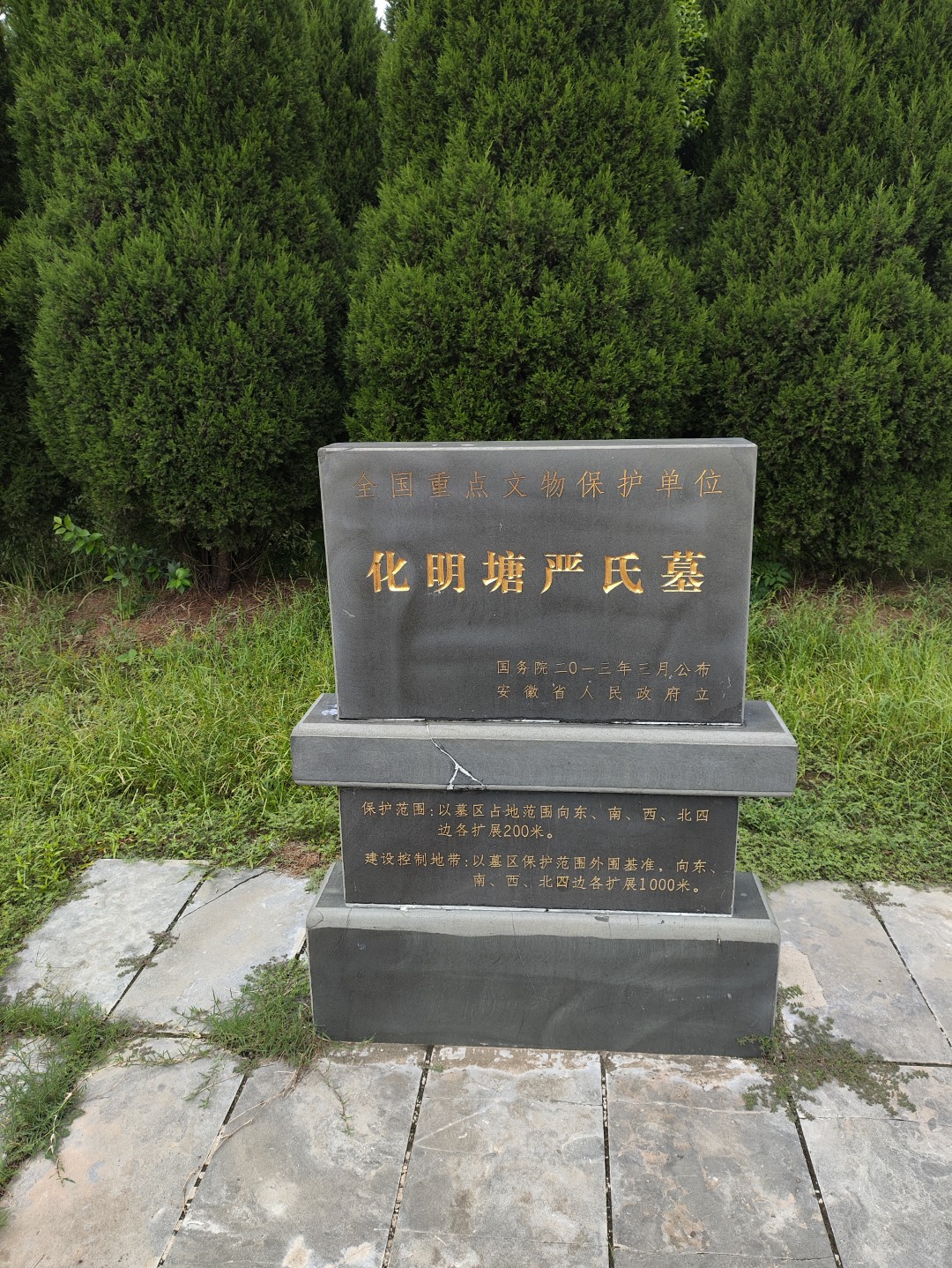 IMG_20250920_102752 (大).jpg