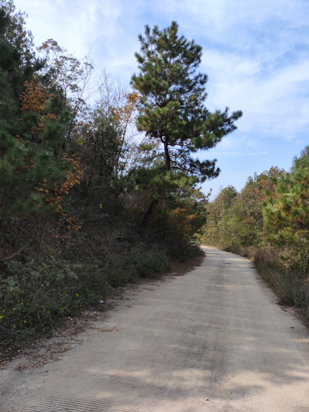 IMG_20251103_131939 (大).jpg