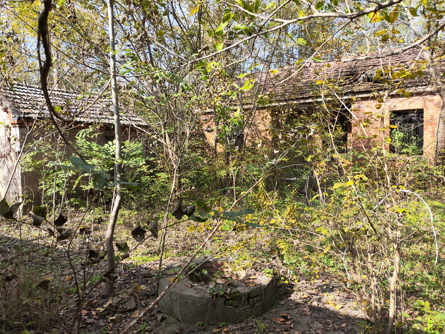 IMG_20251103_134411 (大).jpg