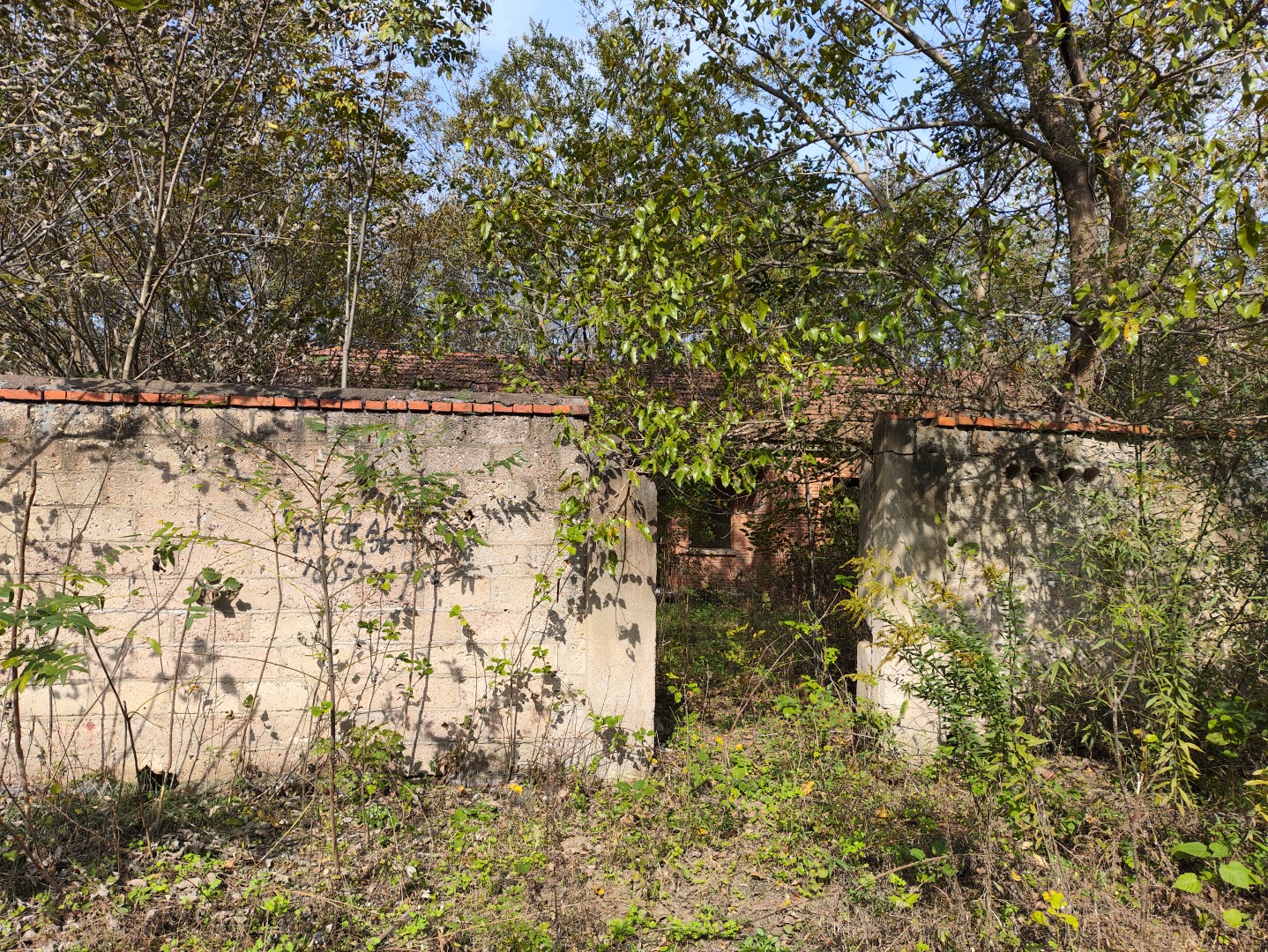 IMG_20251103_134403 (大).jpg