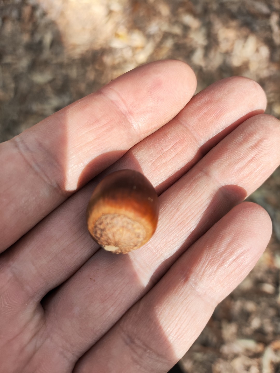 IMG_20251103_132713 (大).jpg