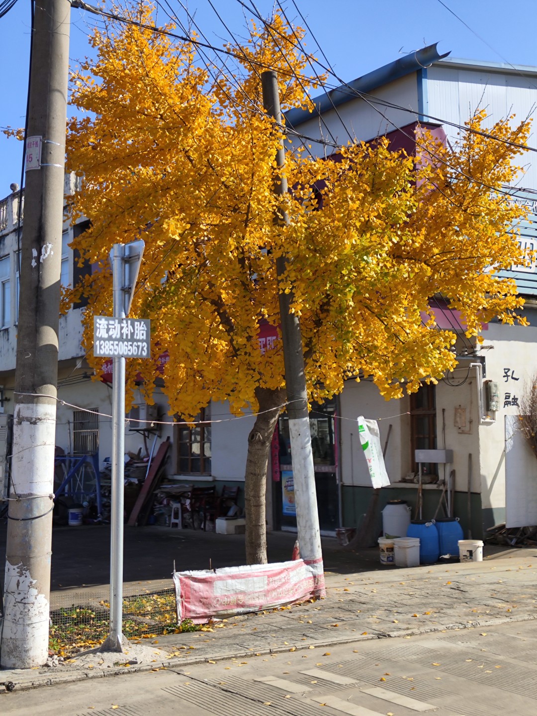 IMG_20251111_141058 (大).jpg