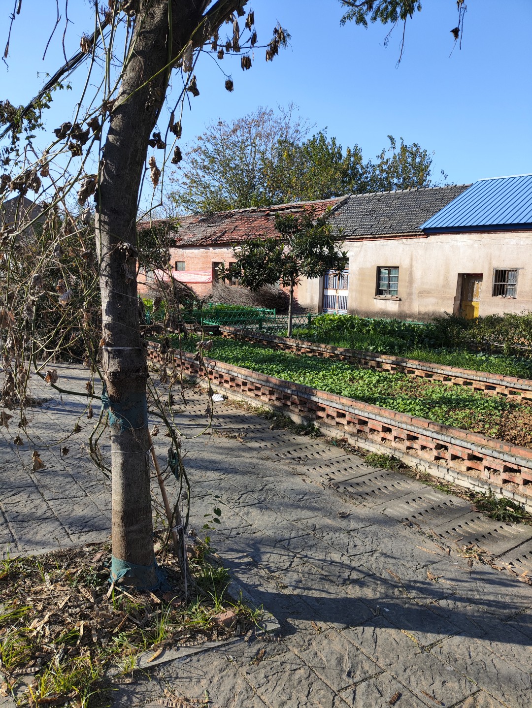 IMG_20251111_144908 (大).jpg