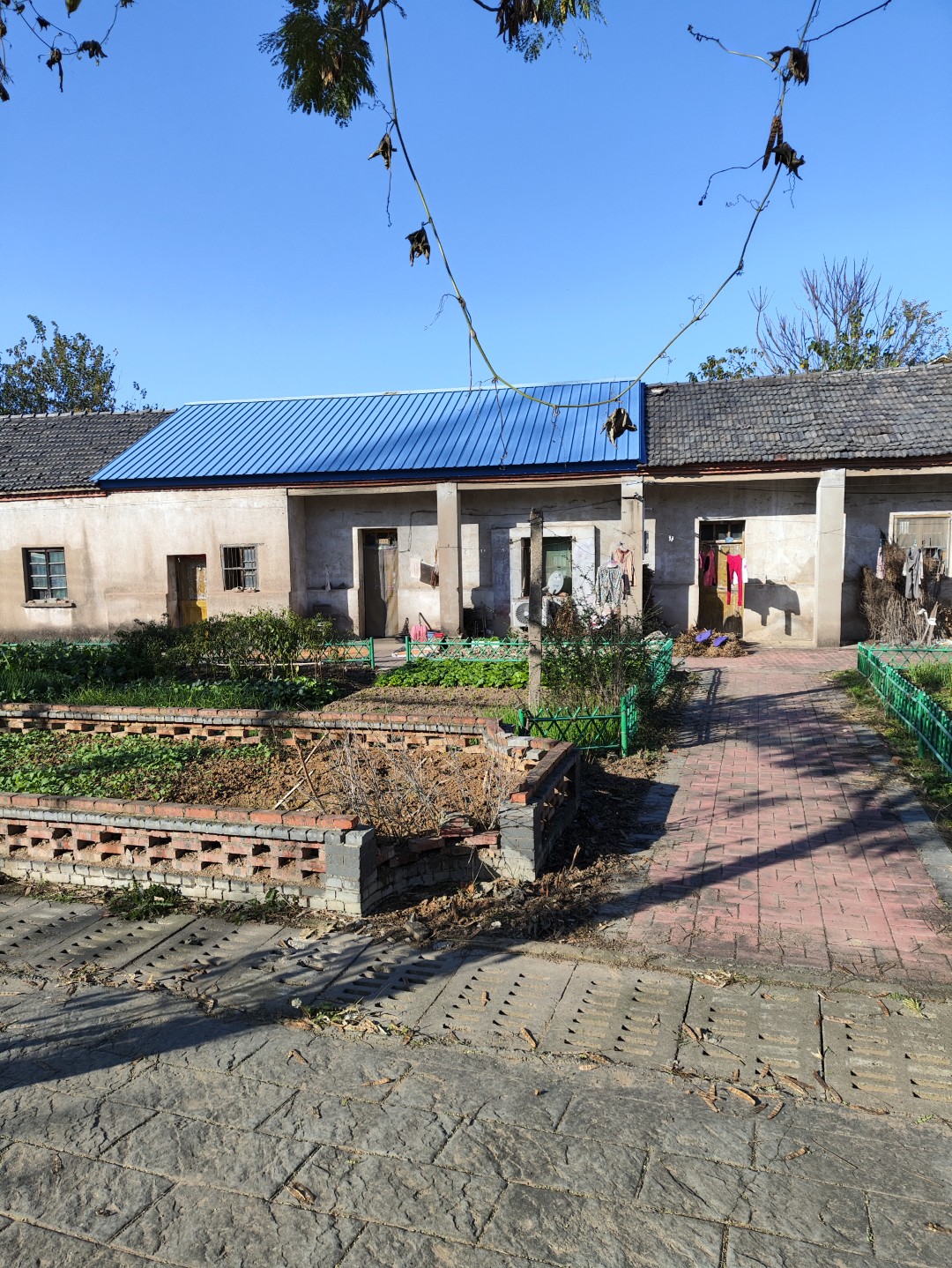 IMG_20251111_144906 (大).jpg