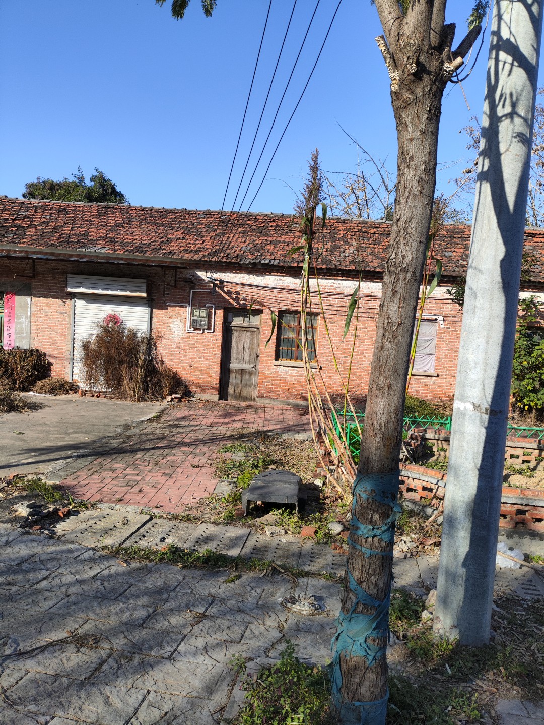 IMG_20251111_144926 (大).jpg