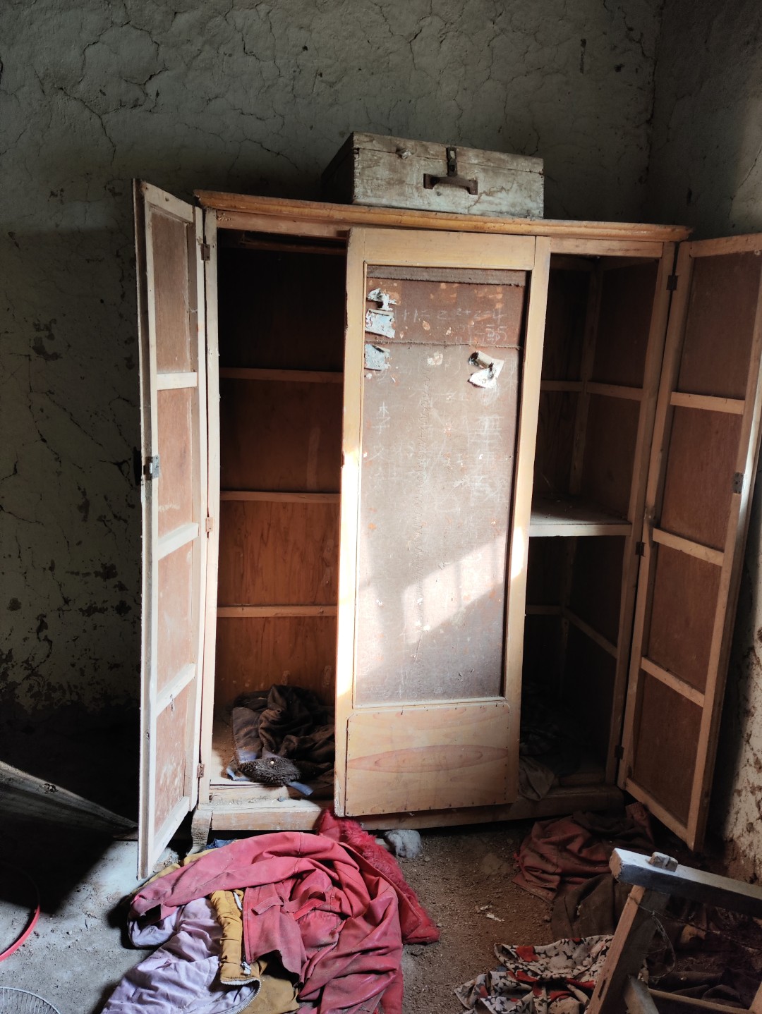 IMG_20251113_143616 (大).jpg