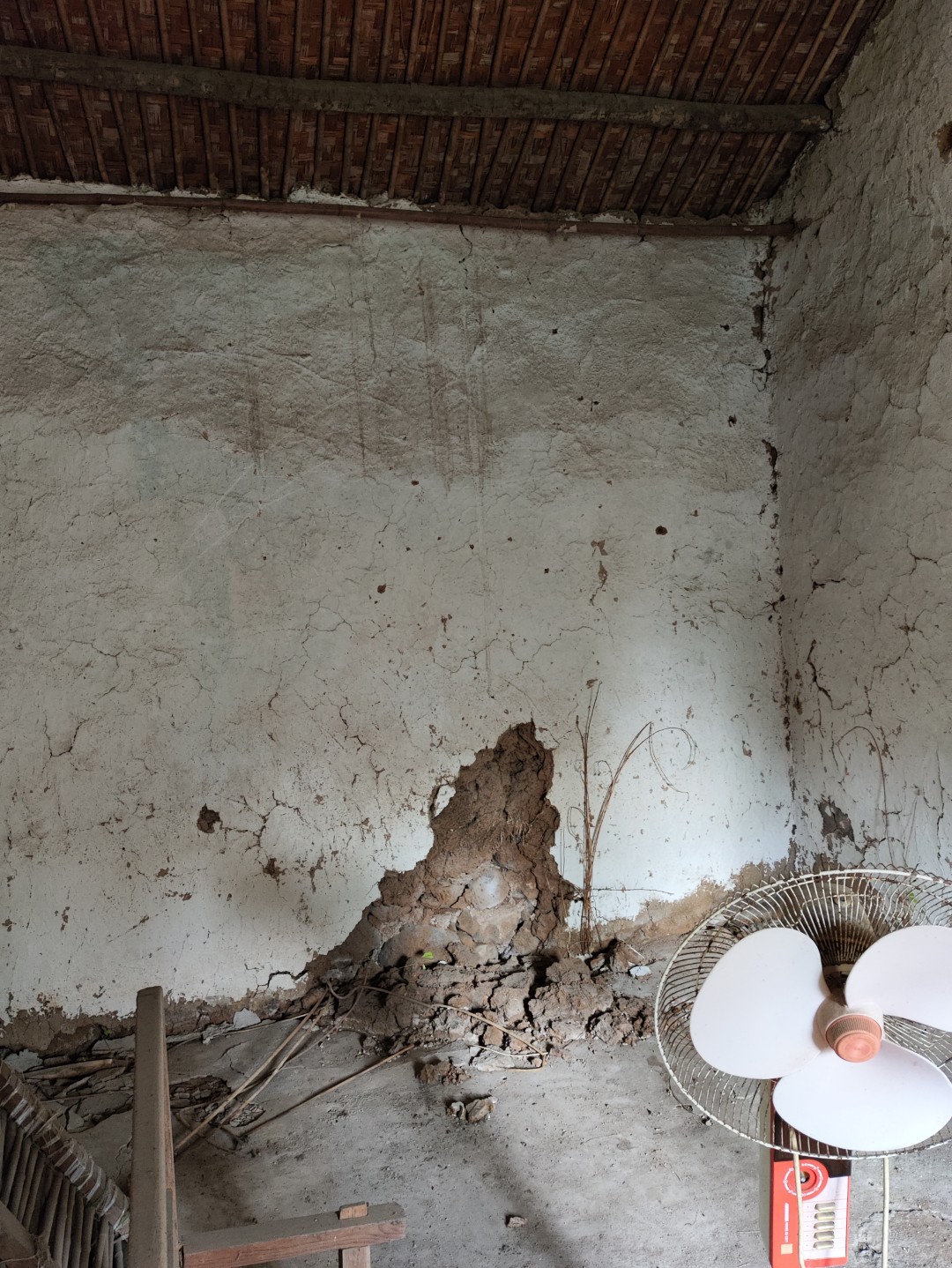 IMG_20251113_143629 (大).jpg