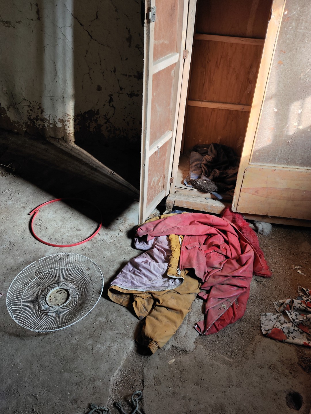 IMG_20251113_143626 (大).jpg