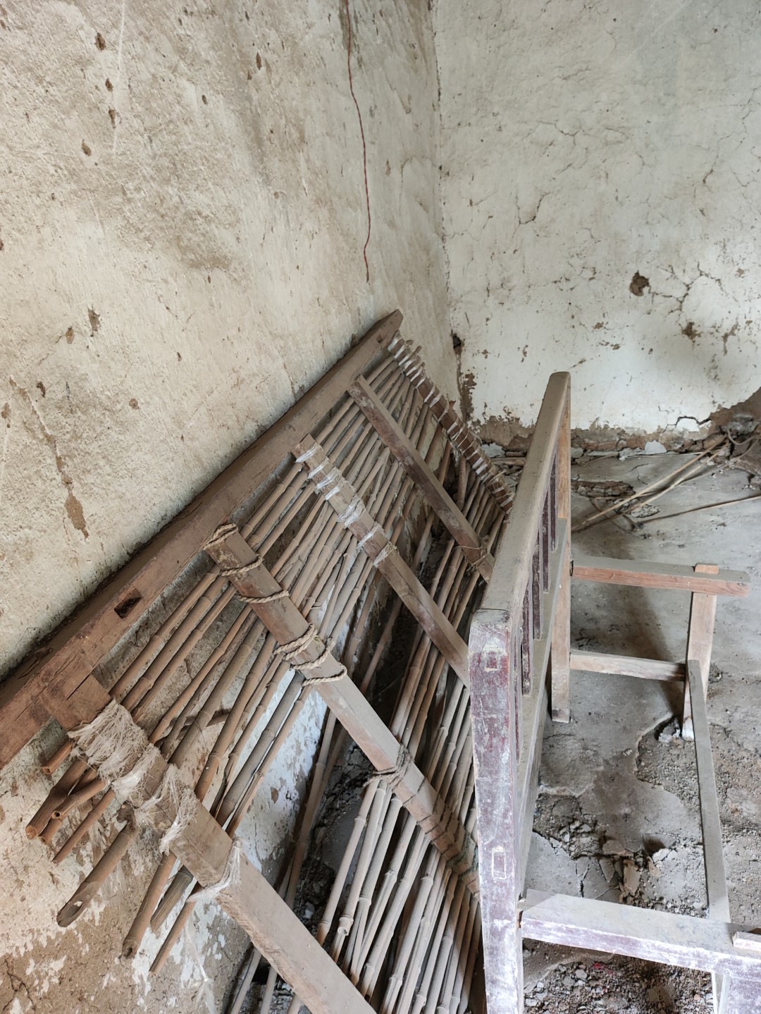 IMG_20251113_143623 (大).jpg