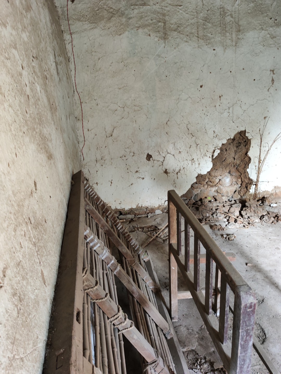 IMG_20251113_143614 (大).jpg