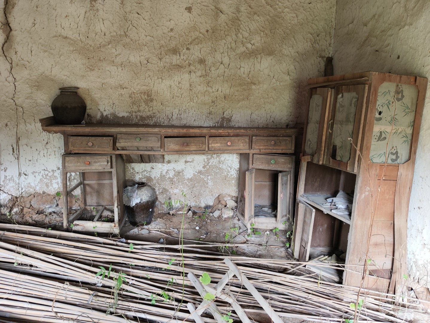 IMG_20251113_143559 (大).jpg