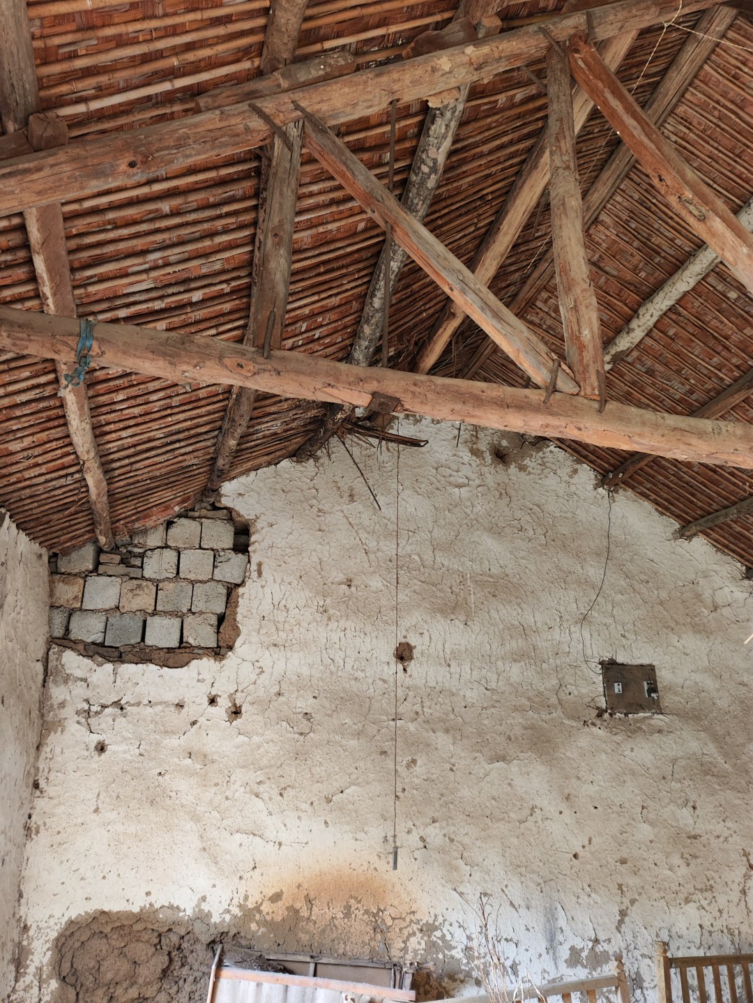 IMG_20251113_143556 (大).jpg