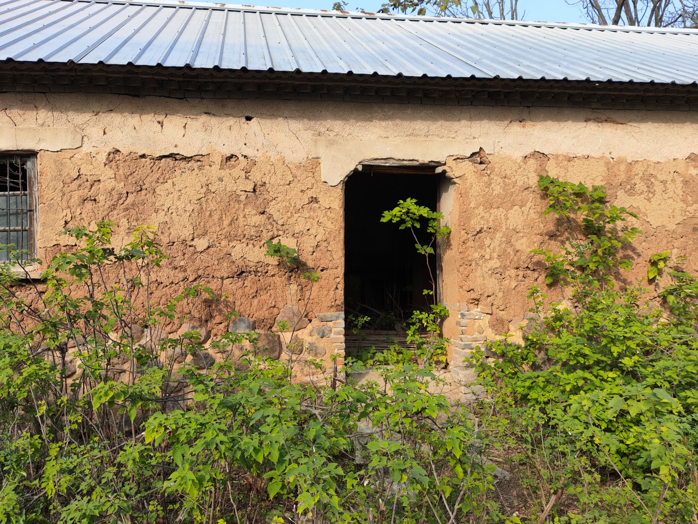 IMG_20251113_143538 (大).jpg