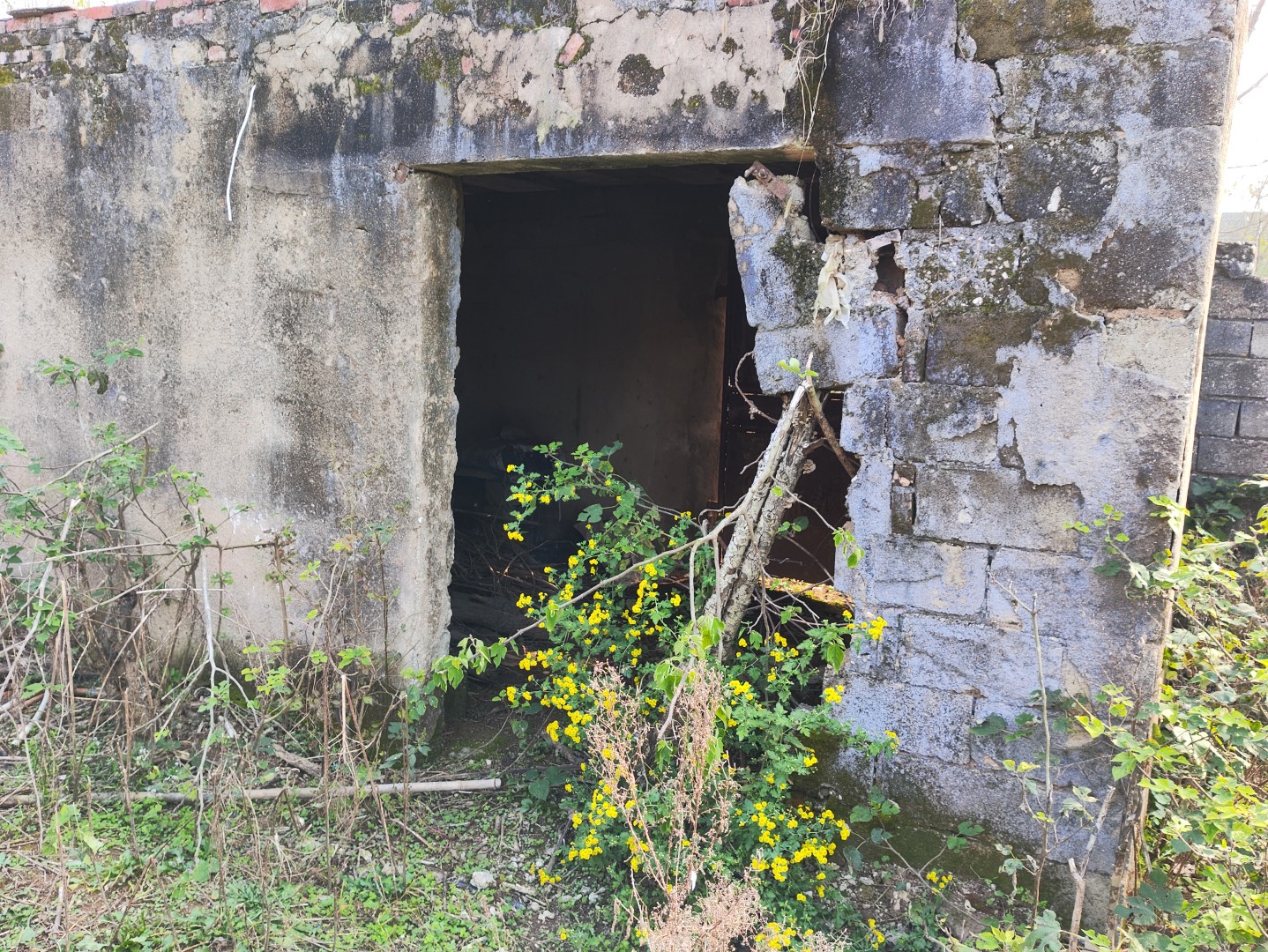 IMG_20251113_143533 (大).jpg