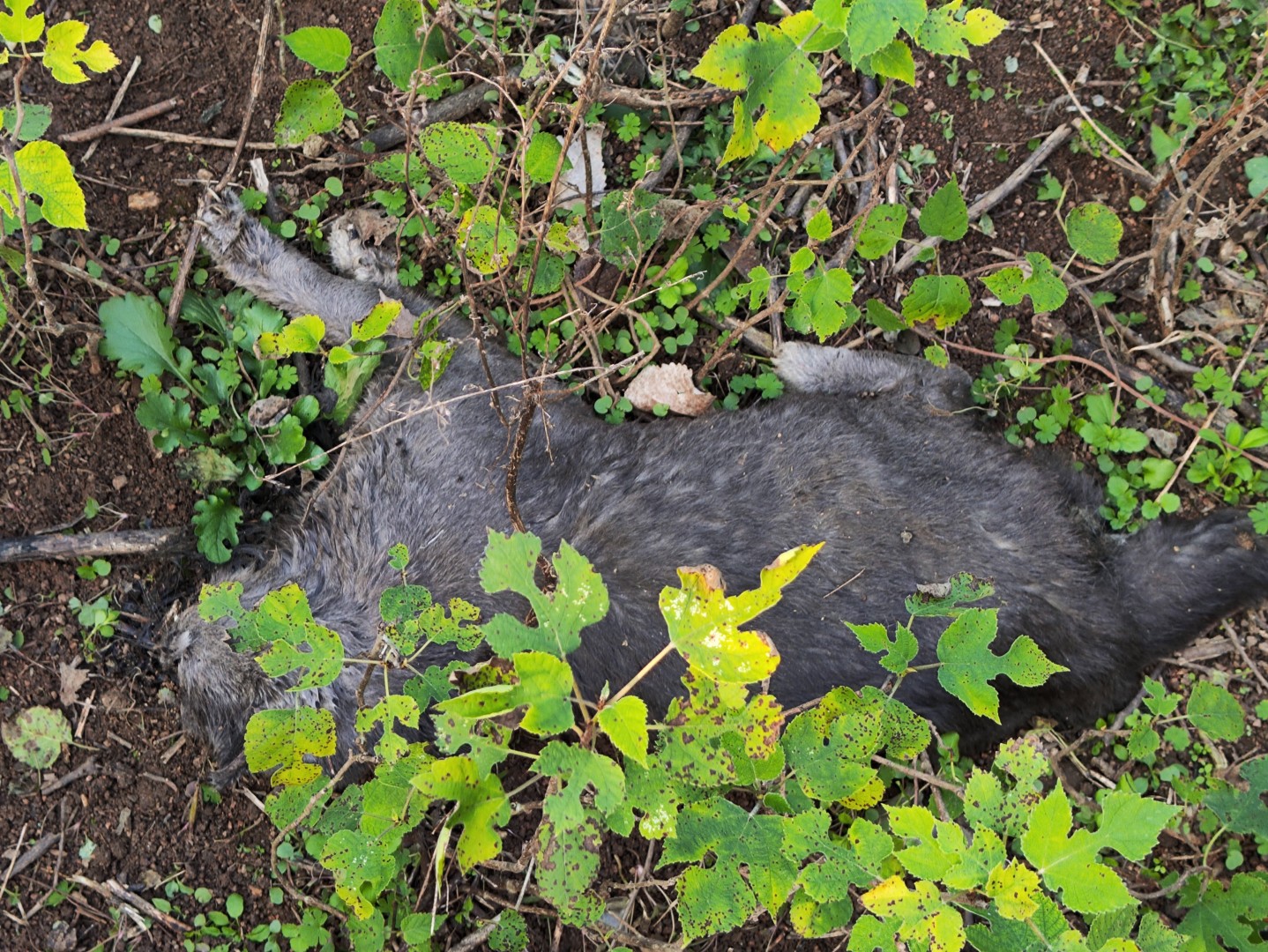 IMG_20251113_143517 (大).jpg