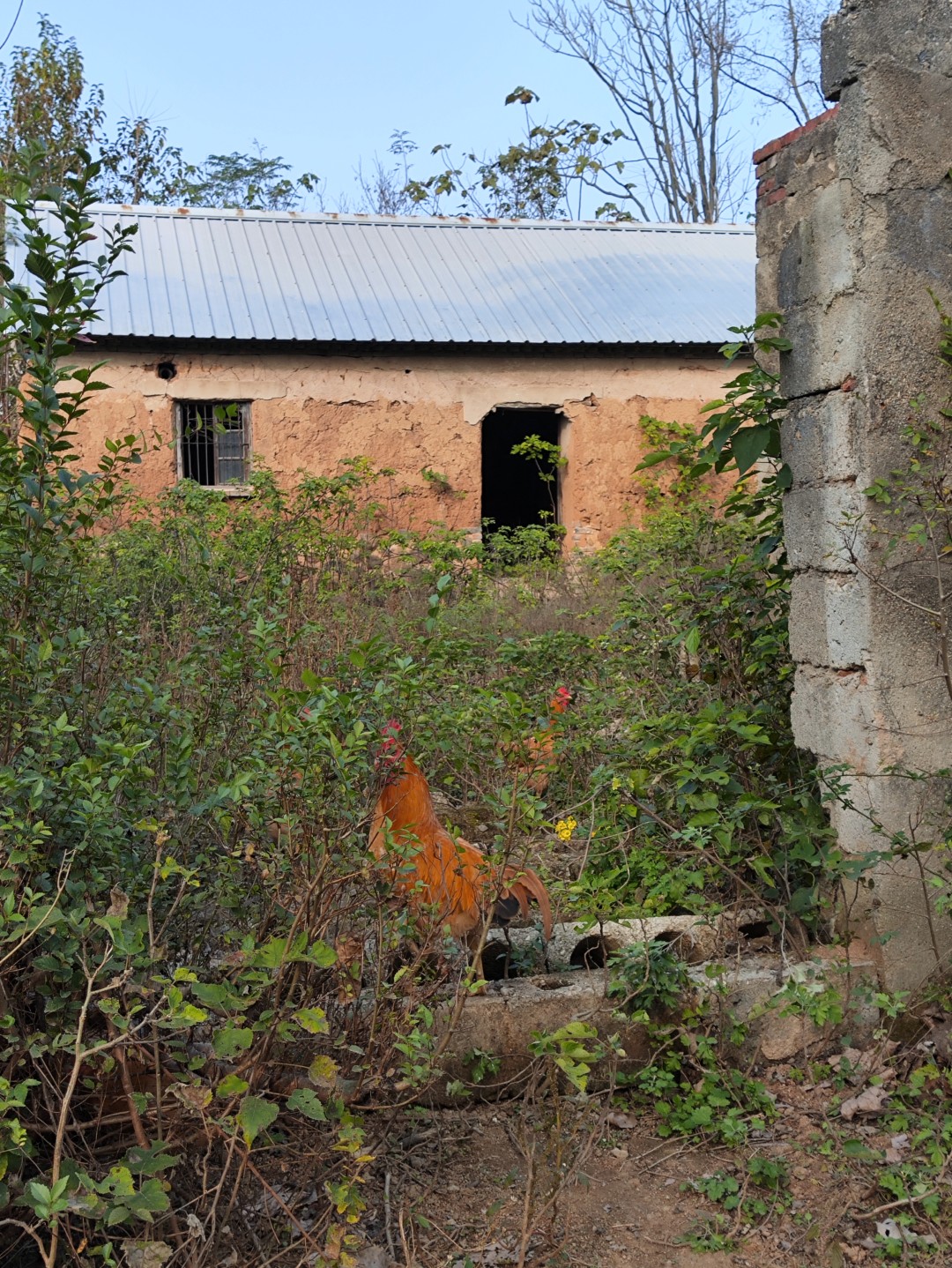 IMG_20251113_143346 (大).jpg