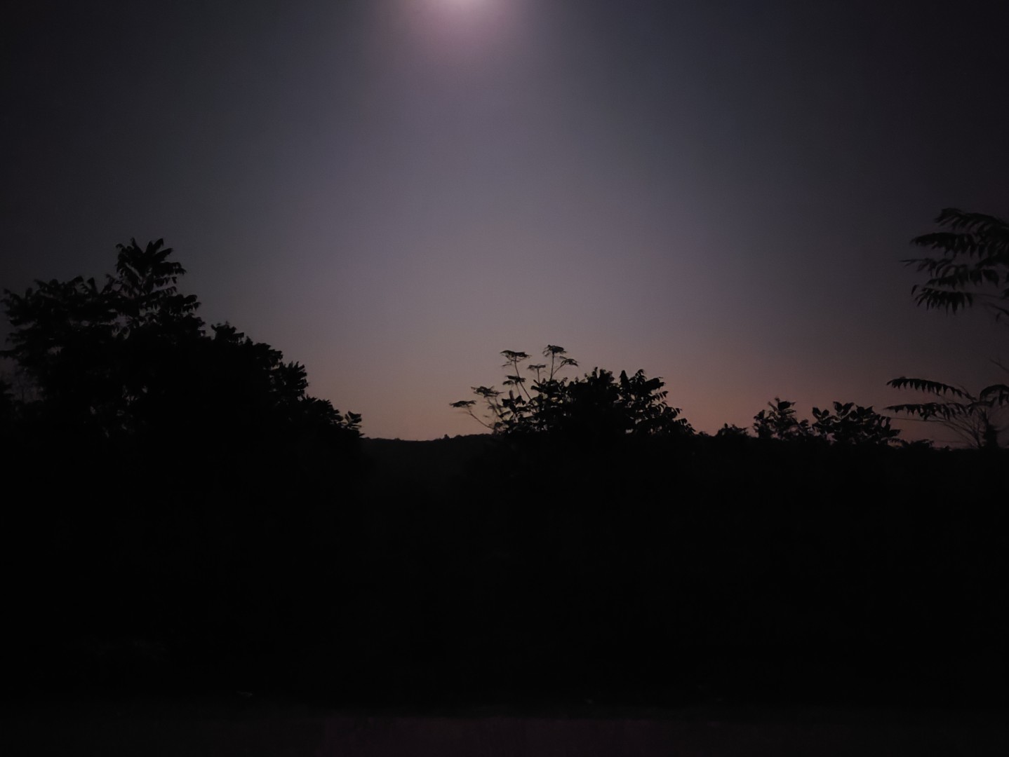 IMG_20251104_191022 (大).jpg