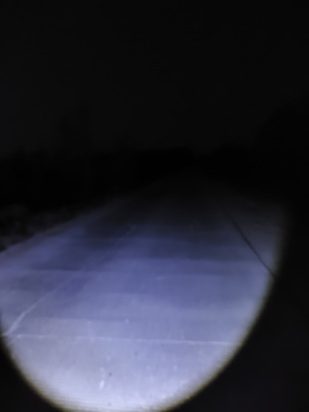 IMG_20251104_191523 (大).jpg