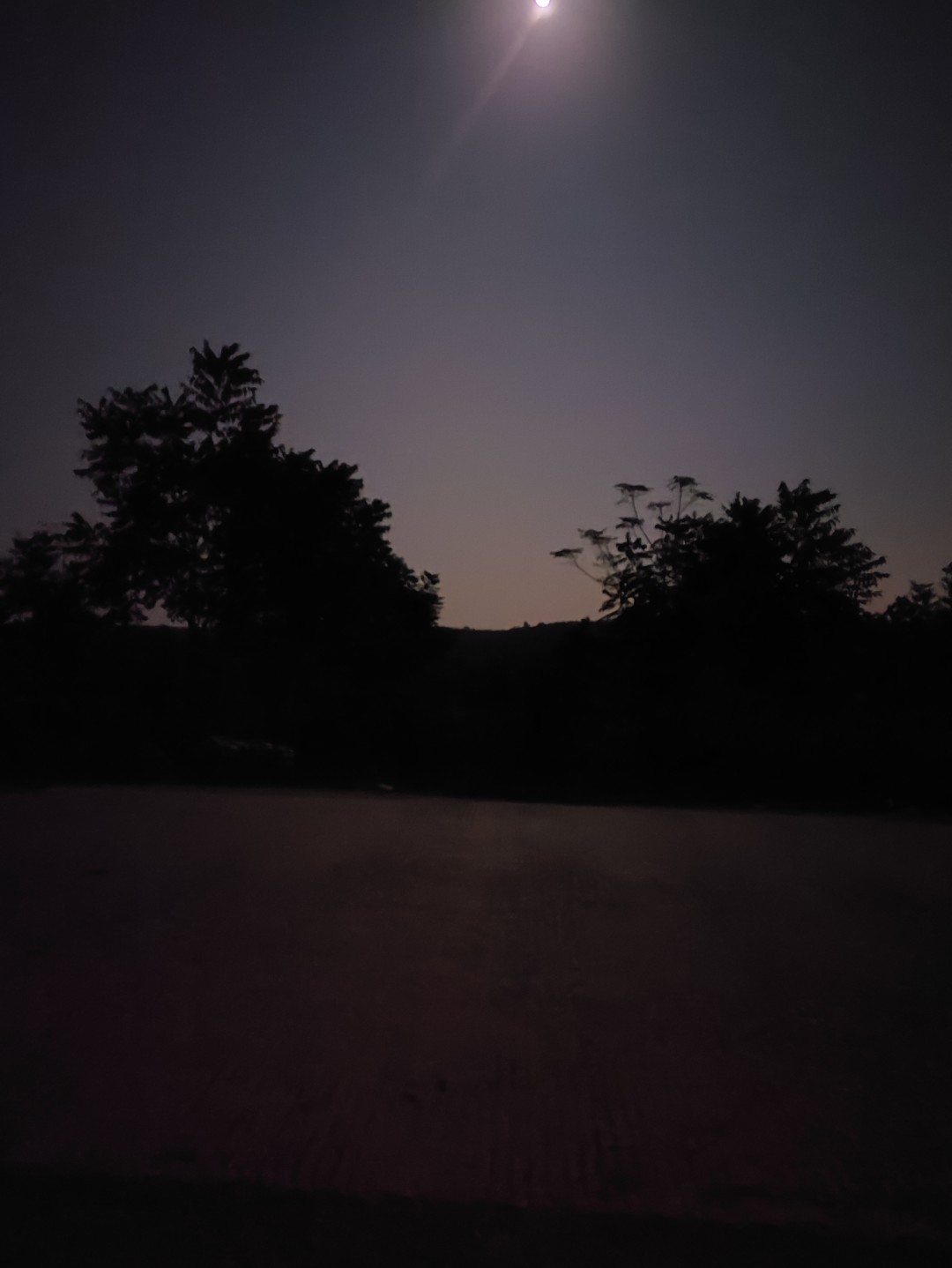 IMG_20251104_191148 (大).jpg