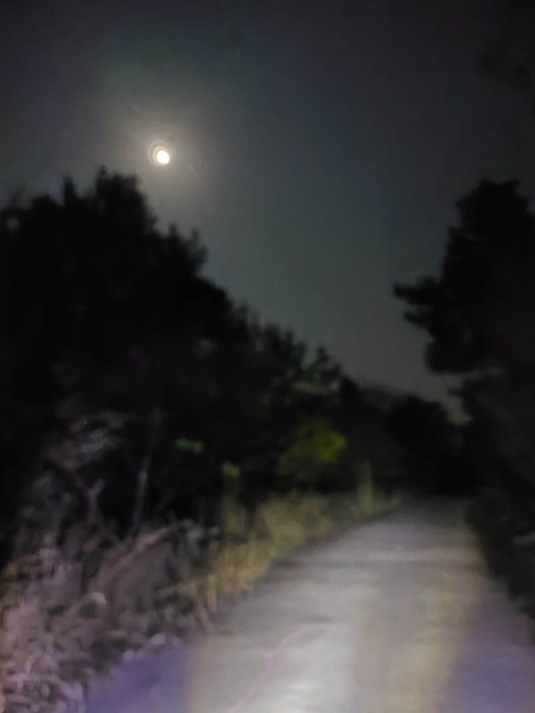 IMG_20251104_190521 (大).jpg