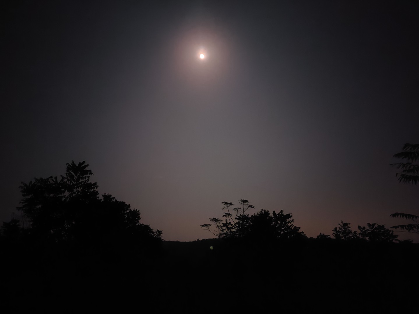 IMG_20251104_191014 (大).jpg