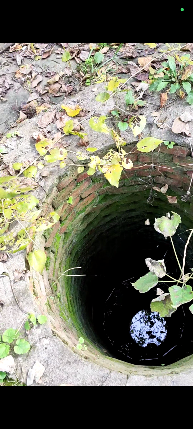 废宅白天[00_03_22][20260318-203323] (大) (中).png