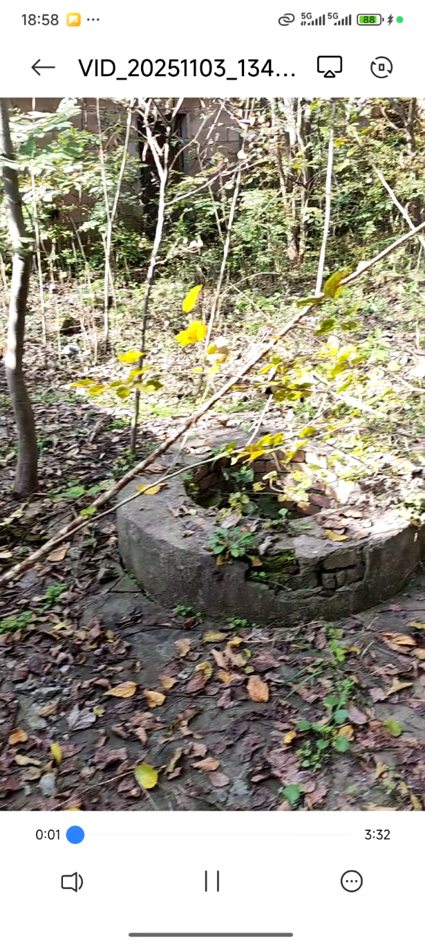 废宅白天[00_00_01][20260318-202824] (大) (中).png