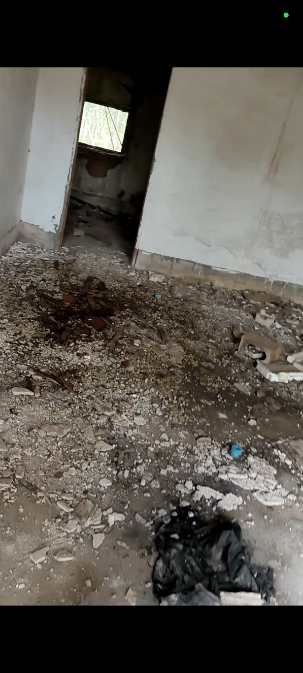 废宅白天[00_02_19][20260318-203203] (大) (中).png