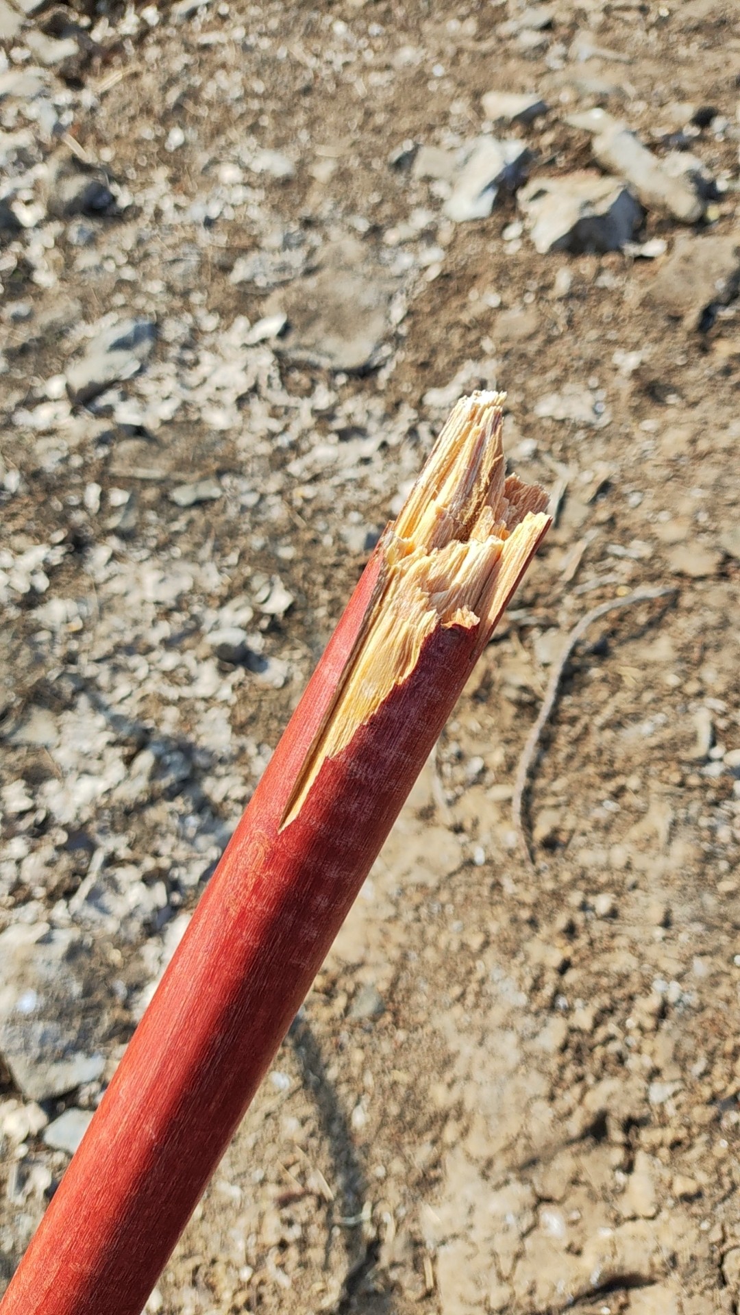 wx_camera_1765863604532 (大).jpg