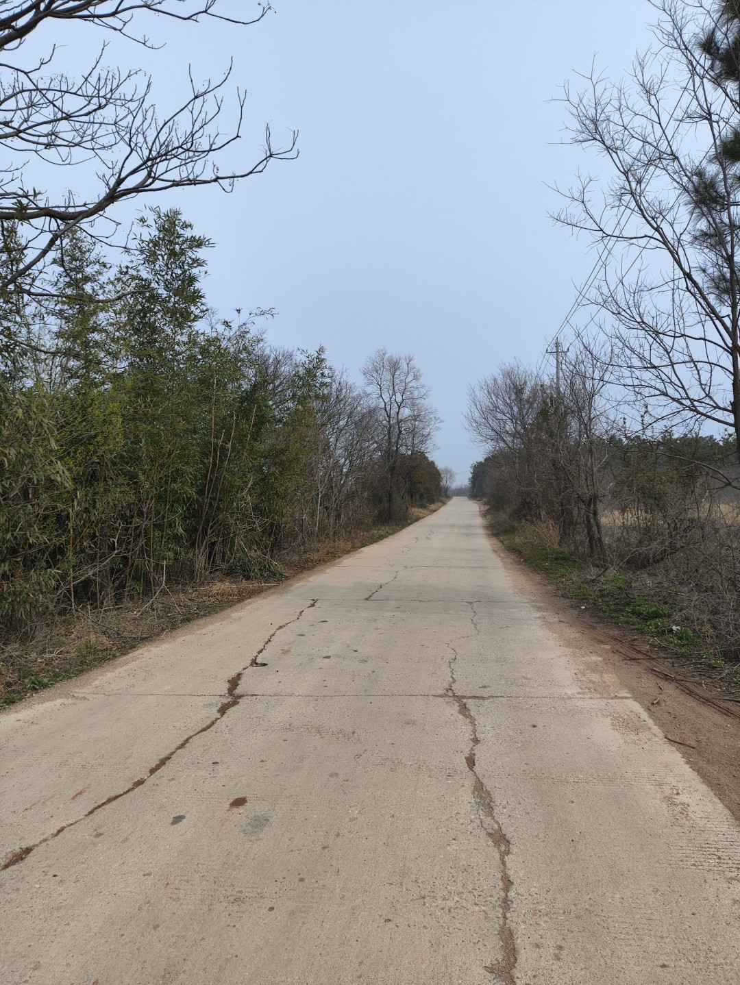 IMG_20260320_101416 (大).jpg