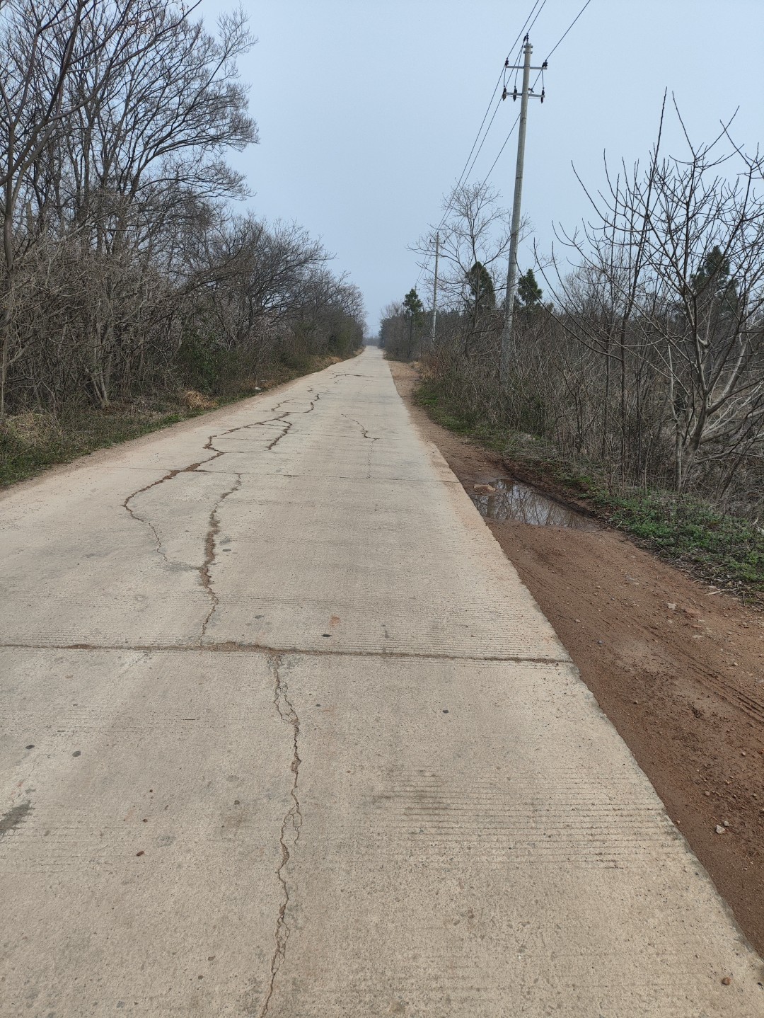 IMG_20260320_101347 (大).jpg