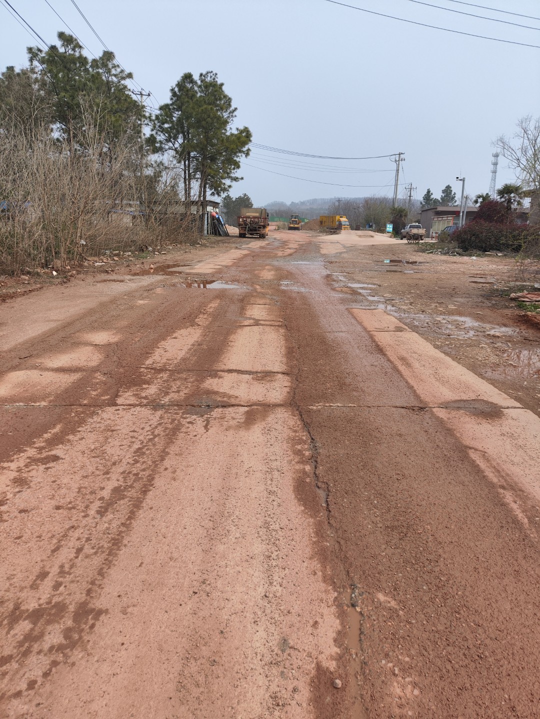 IMG_20260320_101750 (大).jpg