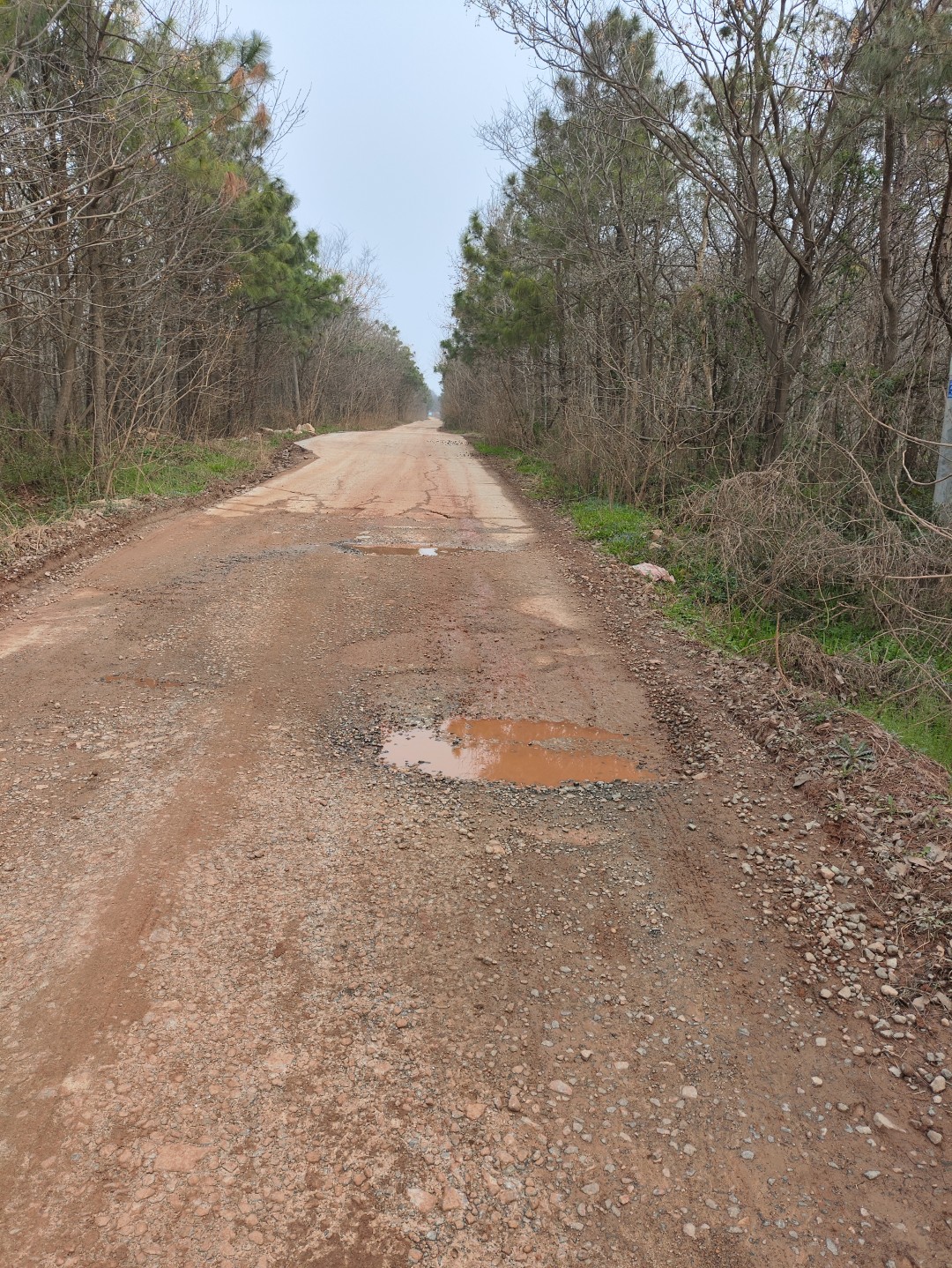 IMG_20260320_102032 (大).jpg