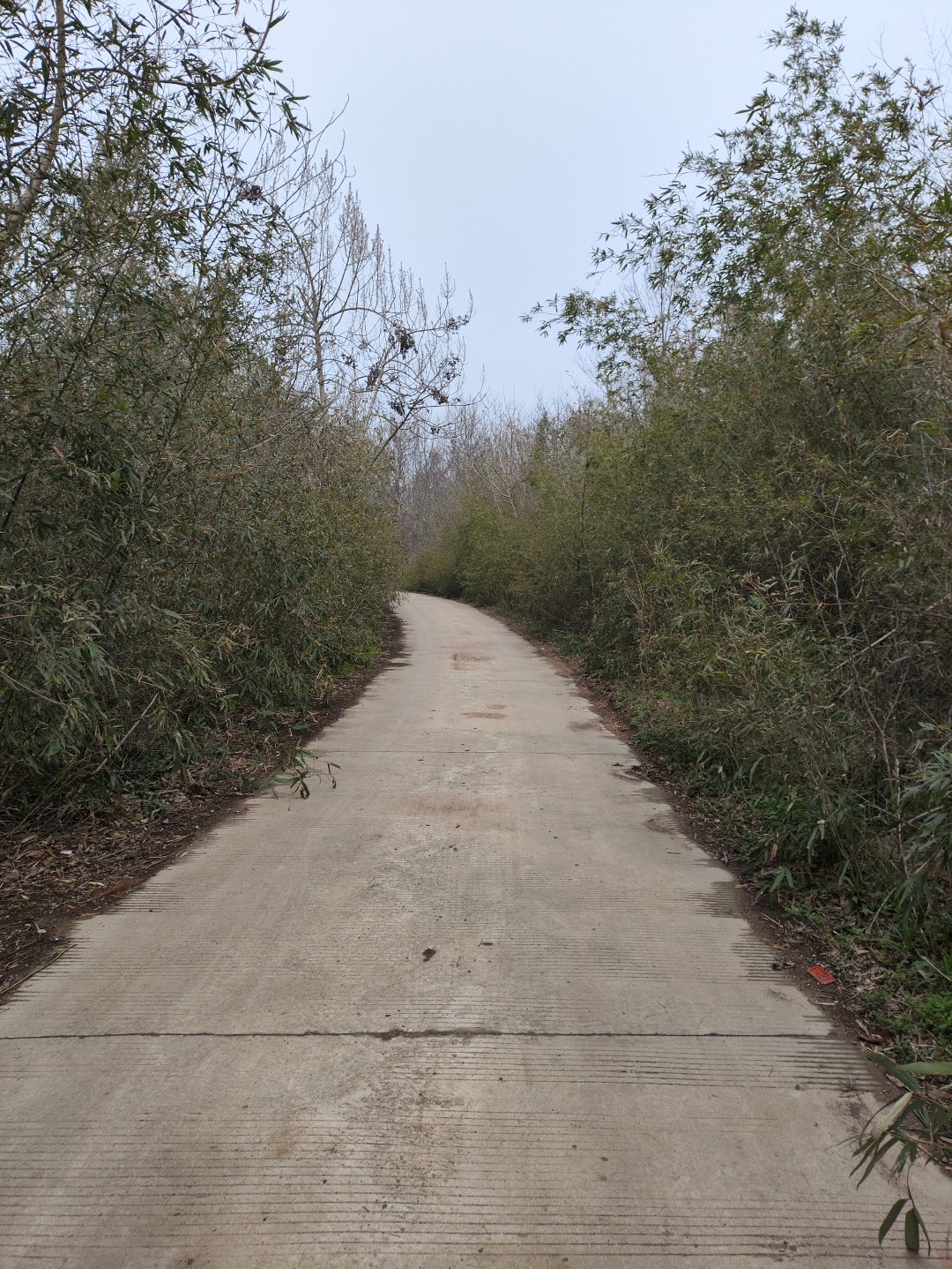 IMG_20260320_102805 (大).jpg