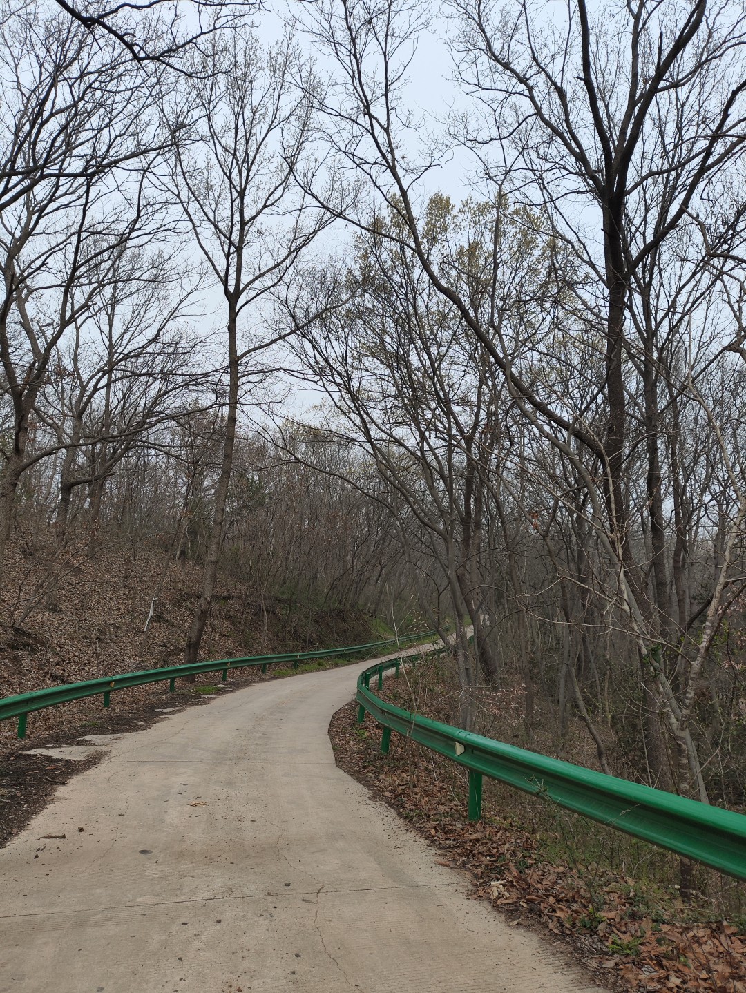 IMG_20260320_102656 (大).jpg