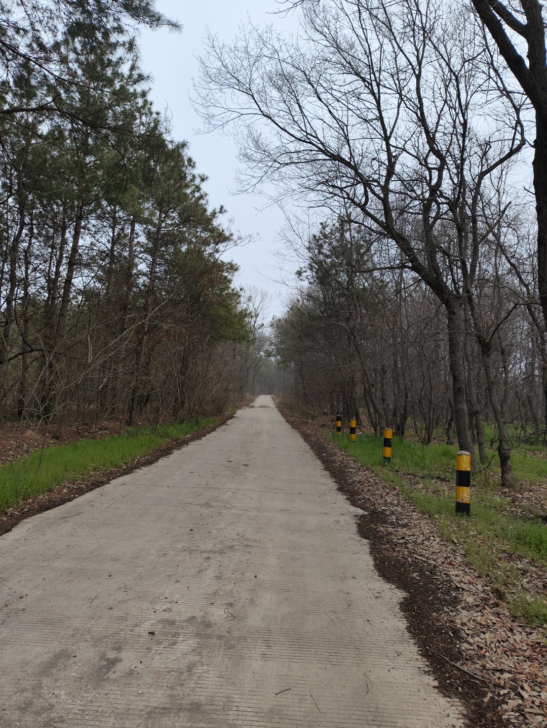 IMG_20260320_103339 (大).jpg