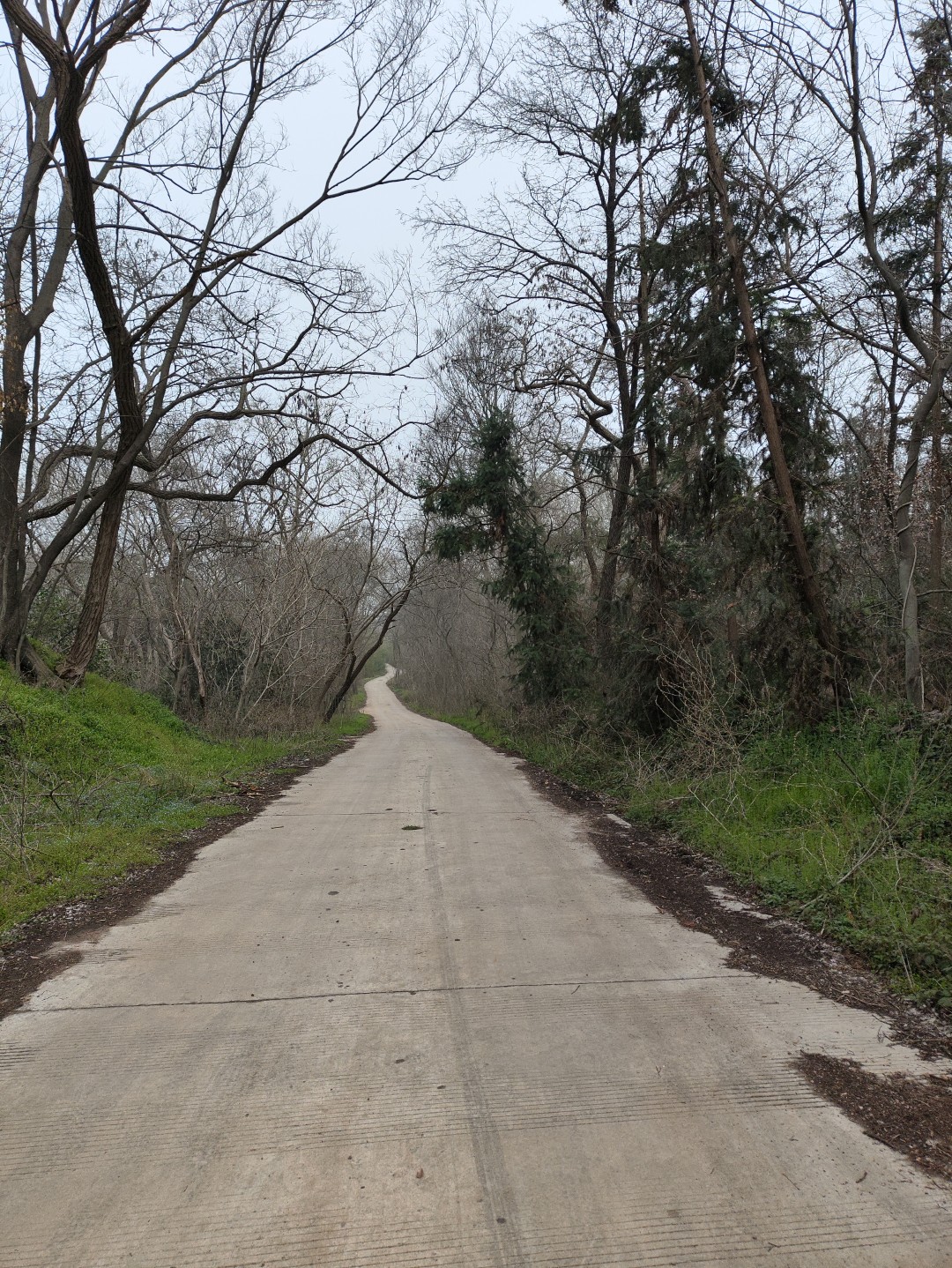 IMG_20260320_102735 (大).jpg