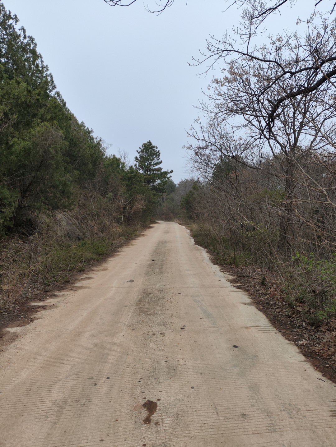 IMG_20260320_102628 (大).jpg