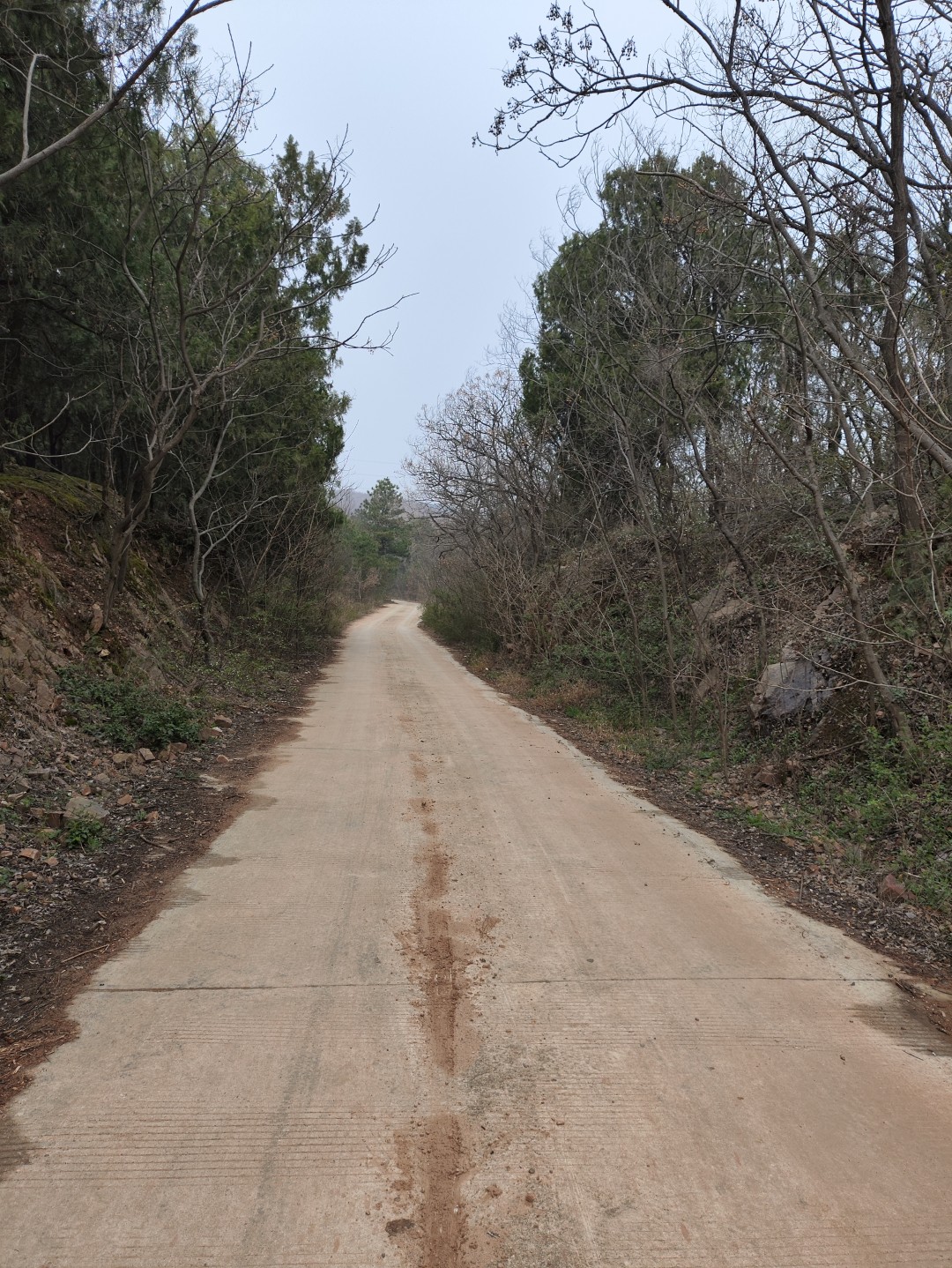 IMG_20260320_102617 (大).jpg