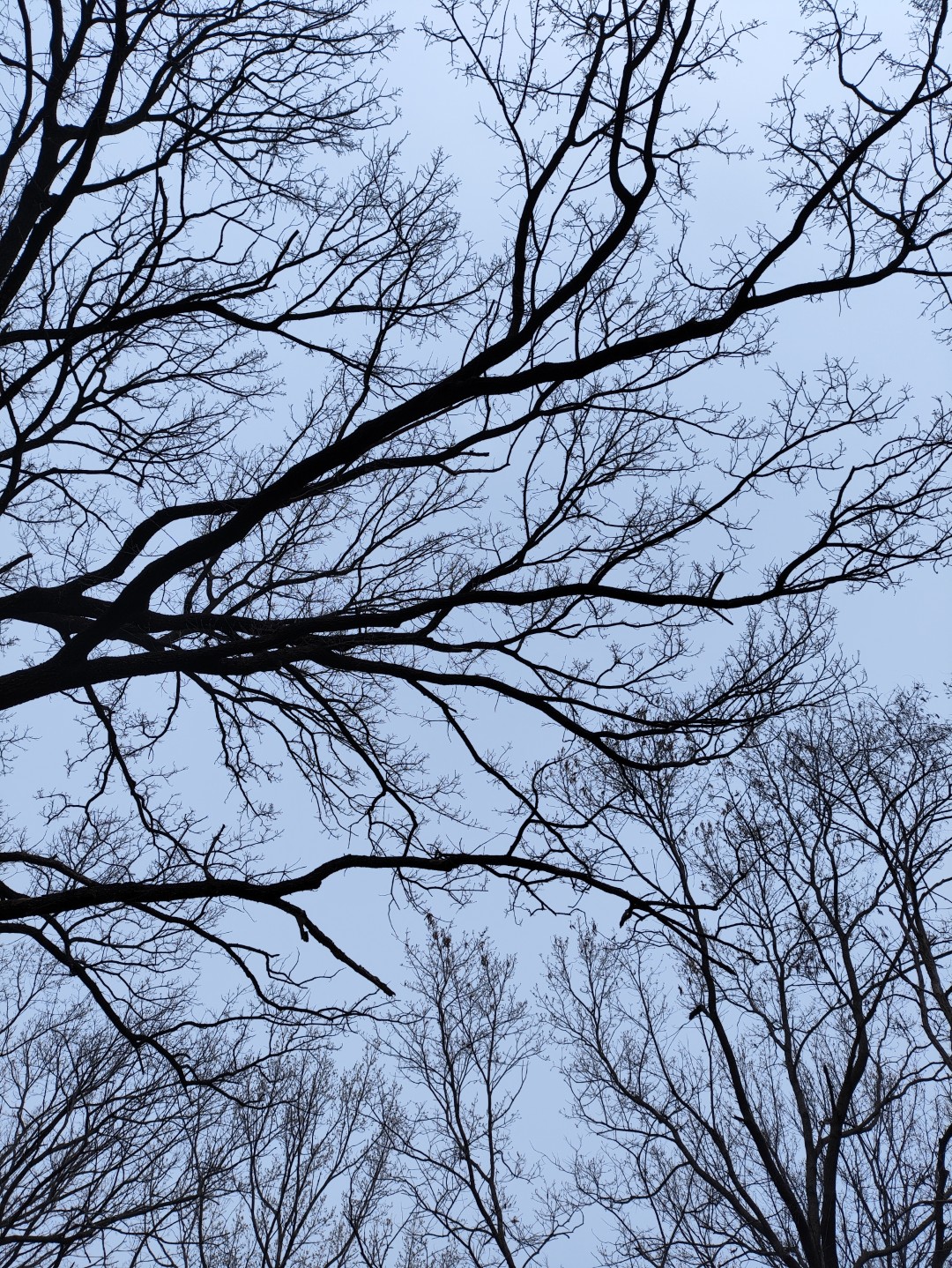 IMG_20260320_102659 (大).jpg